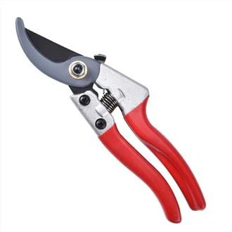 Profesionalne škare